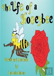 The Life Of A Honeybee