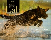 The Life Of A Lab