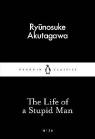 The Life Of A Stupid Man