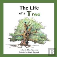 The Life Of A Tree