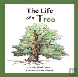 Bertrand.pt - The Life Of A Tree
