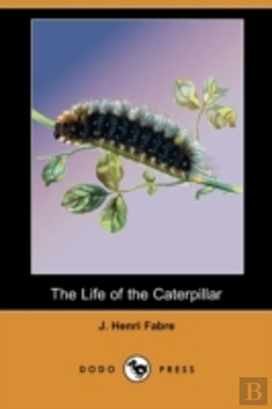 Bertrand.pt - The Life Of The Caterpillar (Dodo Press)