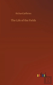 The Life Of The Fields