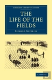 The Life Of The Fields