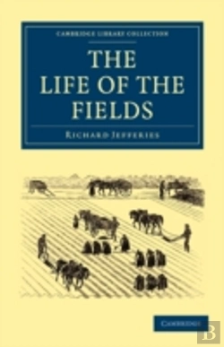 Bertrand.pt - The Life Of The Fields
