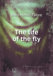 The Life Of The Fly