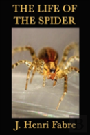 The Life Of The Spider