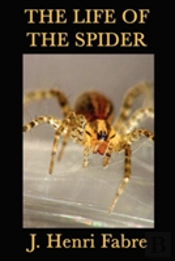 The Life Of The Spider