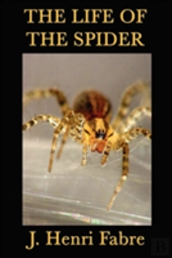 Bertrand.pt - The Life Of The Spider