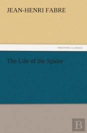 The Life Of The Spider