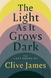 The Light As It Grows Dark