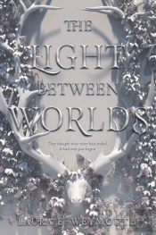 The Light Between Worlds
