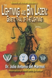The Lightning And Bin Laden