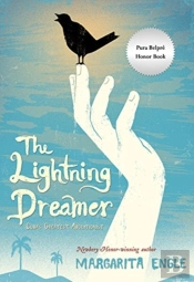 The Lightning Dreamer