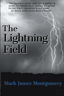 Bertrand.pt - The Lightning Field