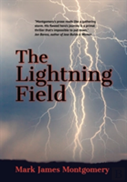 Bertrand.pt - The Lightning Field