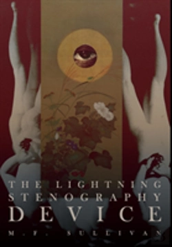 Bertrand.pt - The Lightning Stenography Device