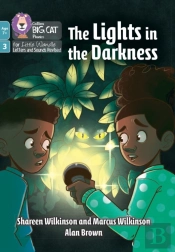 The Lights In The Darkness