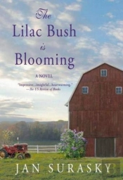 The Lilac Bush Is Blooming