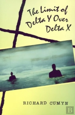Bertrand.pt - The Limit Of Delta Y Over Delta X