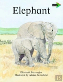 Bertrand.pt - The Lion And The Mouse South African Edition