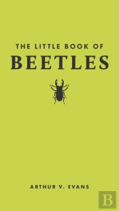 The Little Book Of Beetles