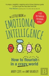 The Little Book Of Emotional Intelligence
