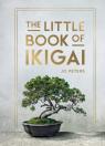 The Little Book Of Ikigai