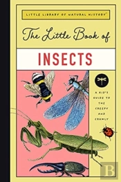 The Little Book Of Insects