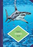 The Little Book Of Knowledge: Sharks