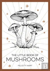 The Little Book Of Mushrooms