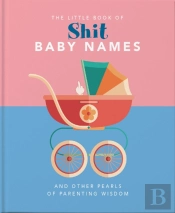 The Little Book Of Shit Baby Names