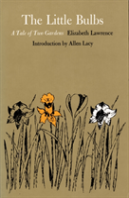 The Little Bulbs