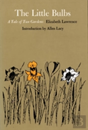 The Little Bulbs