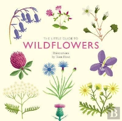 Bertrand.pt - The Little Guide To Wildflowers