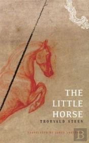 The Little Horse