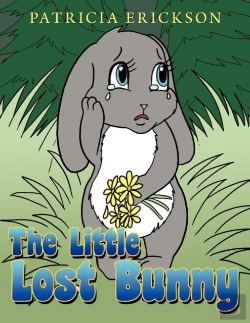 Bertrand.pt - The Little Lost Bunny