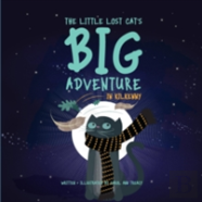 The Little Lost Cat'S Big Adventure In Kilkenny