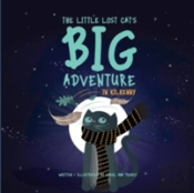 The Little Lost Cat'S Big Adventure In Kilkenny