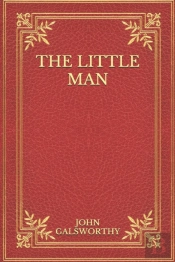 The Little Man