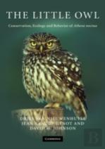 The Little Owl