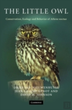 Bertrand.pt - The Little Owl
