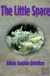 The Little Space
