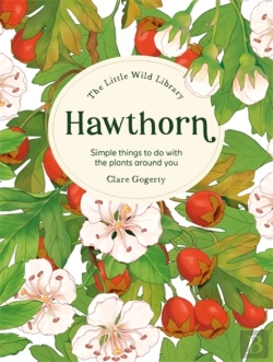 Bertrand.pt - The Little Wild Library: Hawthorn