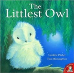 Bertrand.pt - The Littlest Owl
