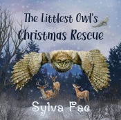 The Littlest Owl'S Christmas Rescue