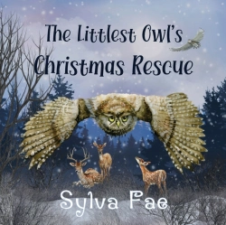 Bertrand.pt - The Littlest Owl'S Christmas Rescue