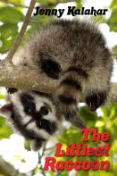 The Littlest Raccoon