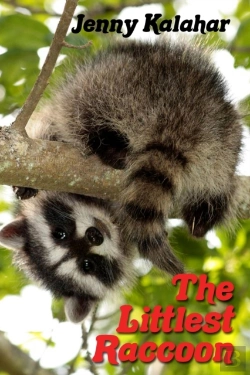 Bertrand.pt - The Littlest Raccoon