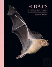 The Lives Of Bats